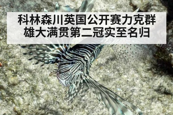 科林森川英国公开赛力克群雄大满贯第二冠实至名归