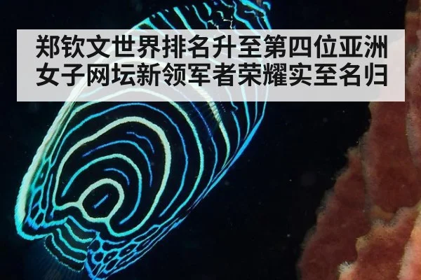 郑钦文世界排名升至第四位亚洲女子网坛新领军者荣耀实至名归